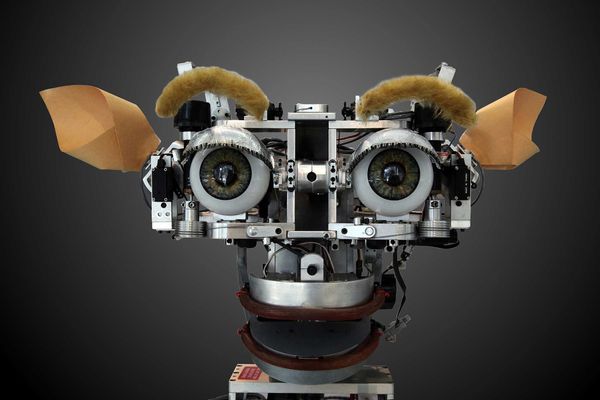 [Робототехника ғажабы] Алуантүрлі робототехника