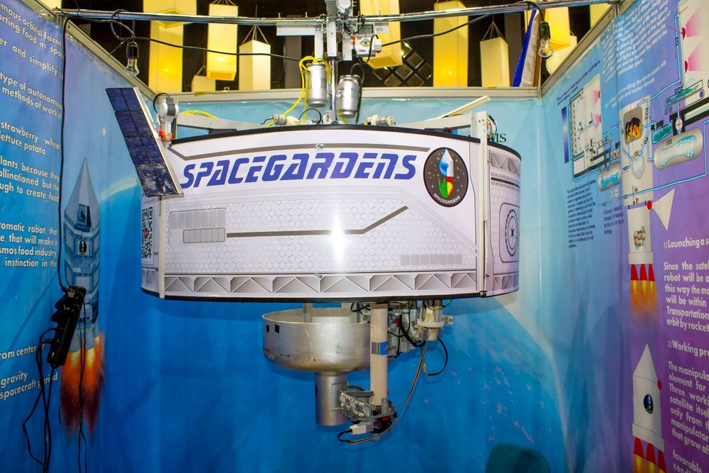 Как пробить себе дорогу в соревнования по робототехнике?