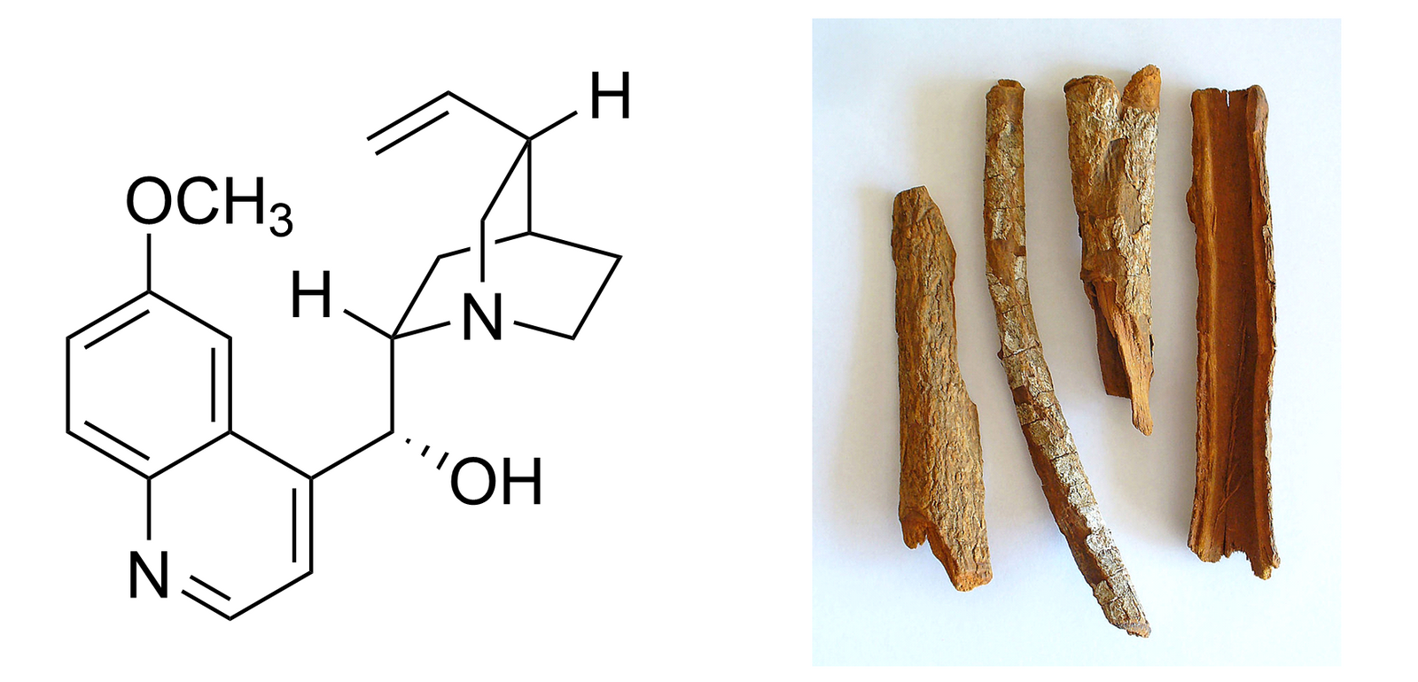 Хинин. Алкалоид коры хинного дерева.
