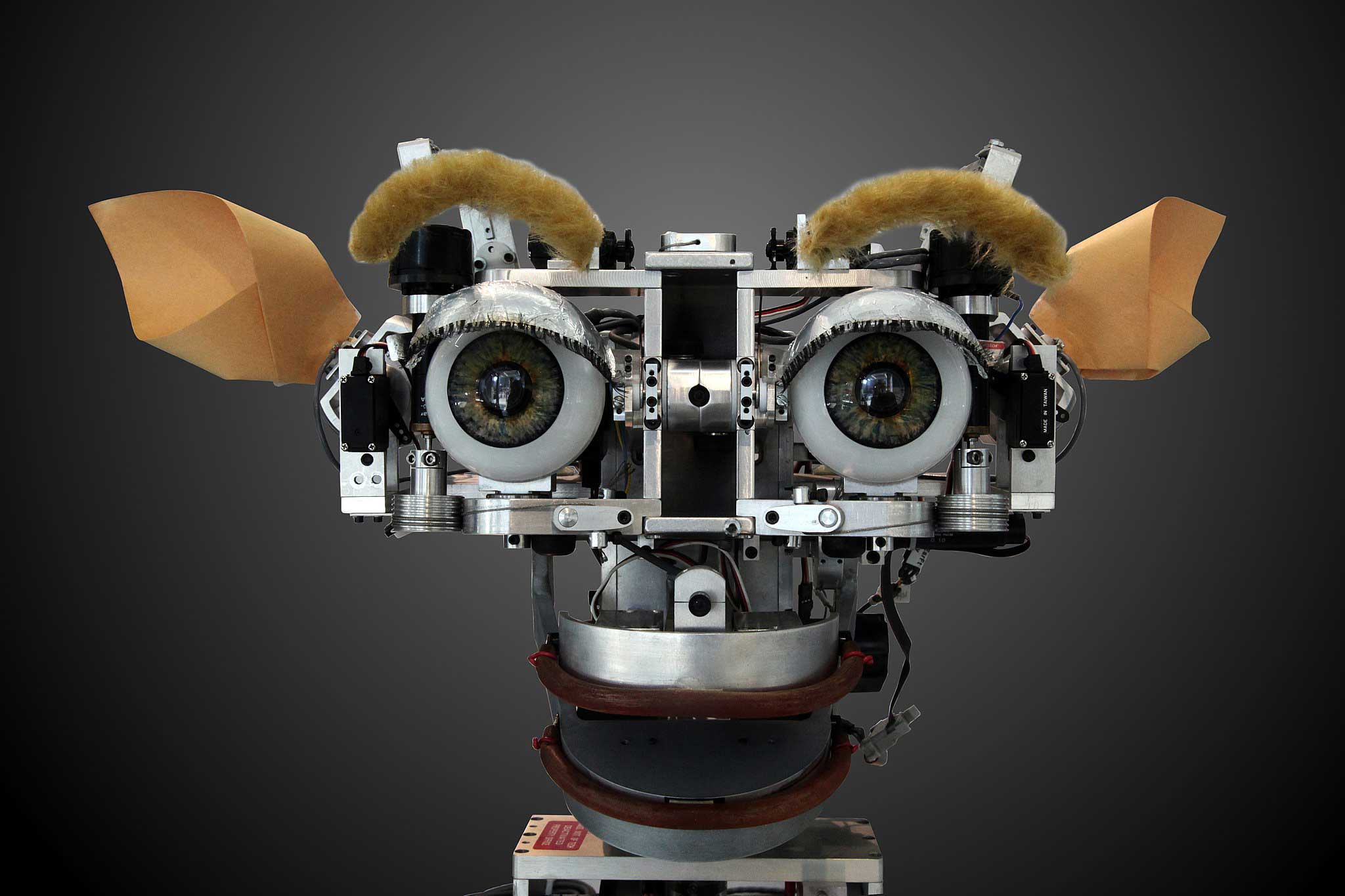 [Робототехника ғажабы] Алуантүрлі робототехника