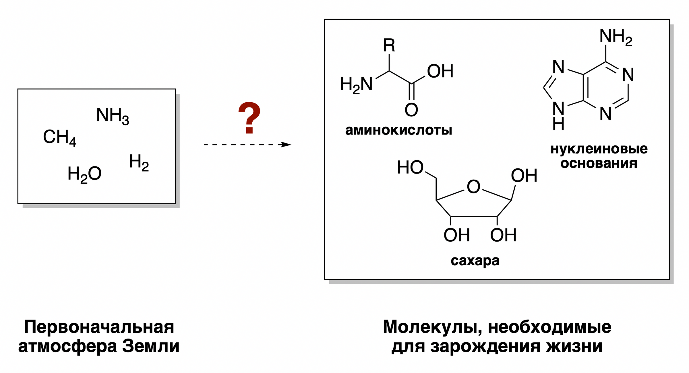 Синтез заменимых аминокислот. Химический Синтез. Химический Синтез аминокислот. Химический Синтез сахара. Энергетические диаграммы простейших гомо- и гетероатомных молекул.